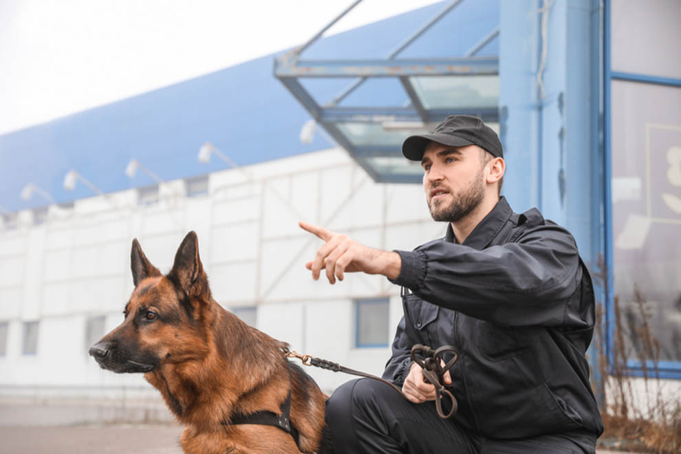 dog unit security