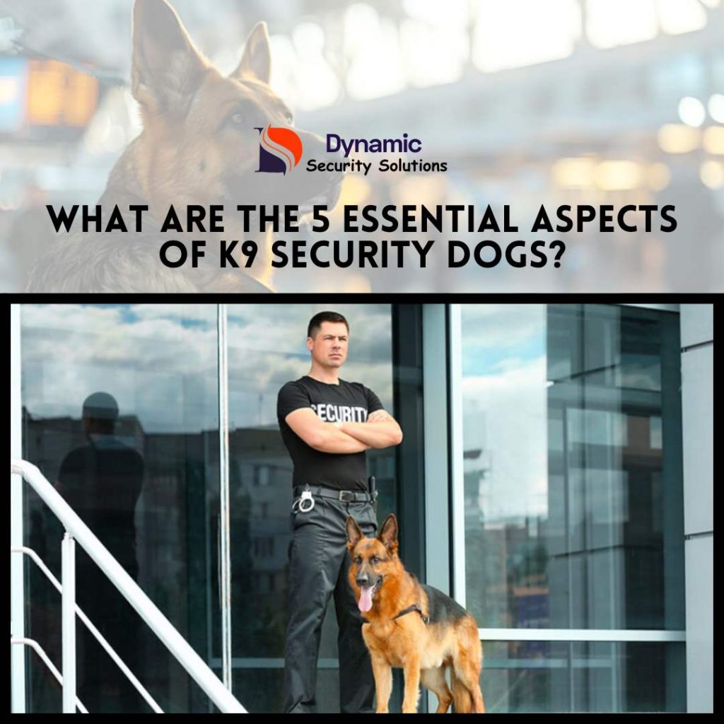 What are the 5 Essential Aspects of K9 Security Dogs?